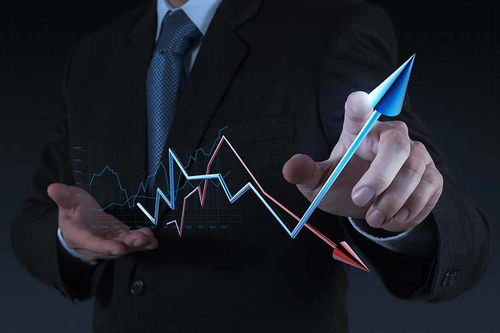 拓商之道 拼多多運(yùn)營(yíng)實(shí)戰(zhàn)攻略，告別“沒(méi)流量”困境的站內(nèi)推廣秘笈